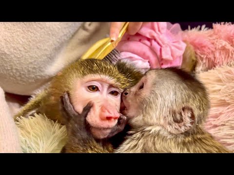 Видео: Вы такого еще ТОЧНО НЕ ВИДЕЛИ! Финик ОБНИМАЕТ И ЦЕЛУЕТ Анфису!))