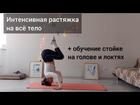 Видео: Интенсивная растяжка спины и ног. Шпагаты, мостик на локтях. Растяжка и балансы. Начинающие 3.