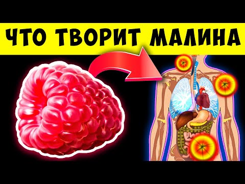 Видео: Вот что Малина сделает с Вами если есть её каждый день! Польза и вред Малины