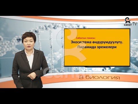 Видео: Биология 11 класс 25 сабак