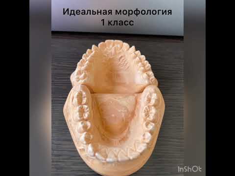 Видео: Про Масахира Кувата ☝️