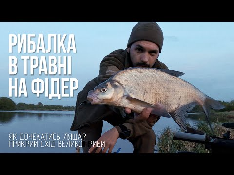Видео: Травневий ФІДЕР на водосховищі. Рибалка в сильний вітер