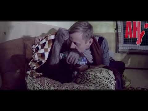 Видео: крым тайган орангутан дана