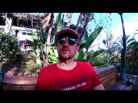 Видео: Аналоговое суммирование или сведение IN THE BOX? Репортаж из Сан-Диего