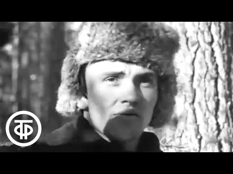 Видео: Ангарские лесорубы. Документальный фильм о лесозаготовителях Пинчугского леспромхоза (1977)