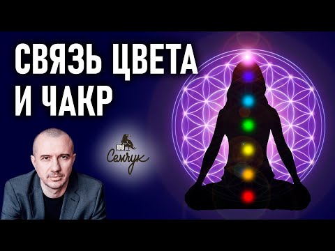Видео: Насколько цвета чакровой системы передают суть. Феноменальная психология цвета