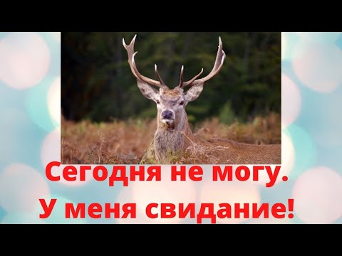 Видео: Предательство друзей \ Алени дружить не умеют