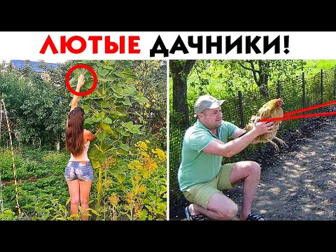 Видео: 55 ЛЮТЫХ ДАЧНИКОВ, КОТОРЫЕ ЗАШЛИ СЛИШКОМ ДАЛЕКО!