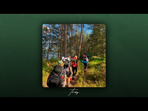 Видео: (SOLD) Макс Корж x Dabro x type beat - "Trees" I (prod. surgutskov)