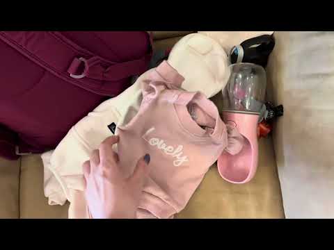 Видео: Собираем собаку в путешествие в Белоруссию