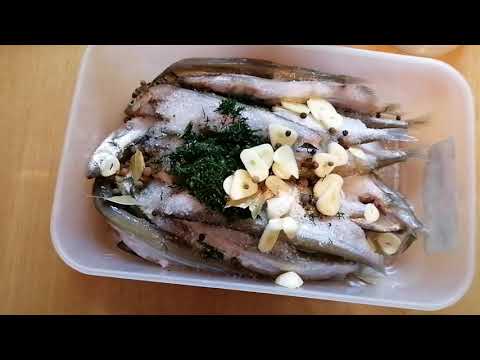 Видео: Вкусная МОЙВА сухого ,пряного посола !