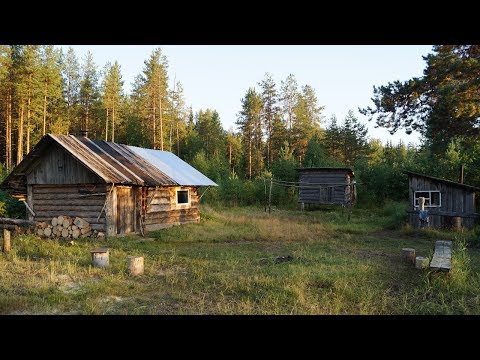 Видео: Восемь дней в тайге. Одиночный поход по северной реке. Лесная изба | часть 1