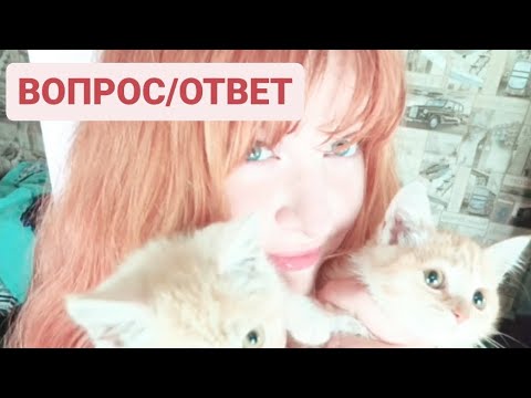 Видео: Вопрос/ответ. Часть 1