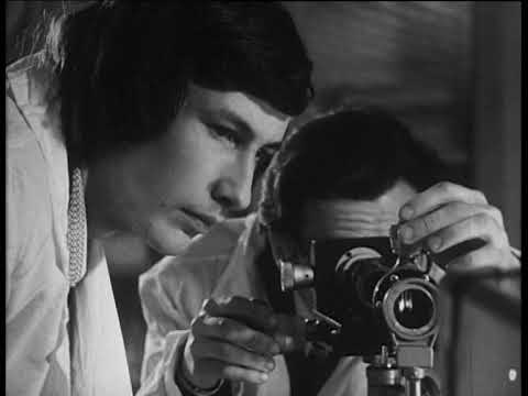 Видео: Сибирь на экране- 1977 г