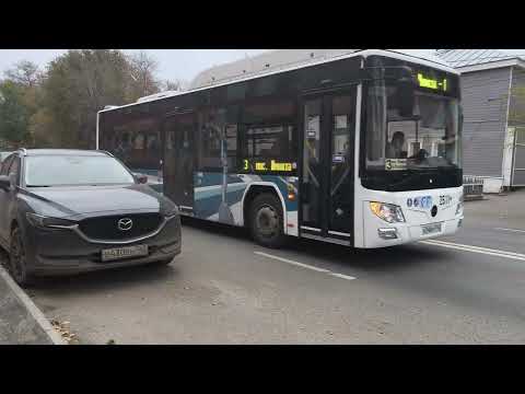 Видео: 7 ноября 2025 г.