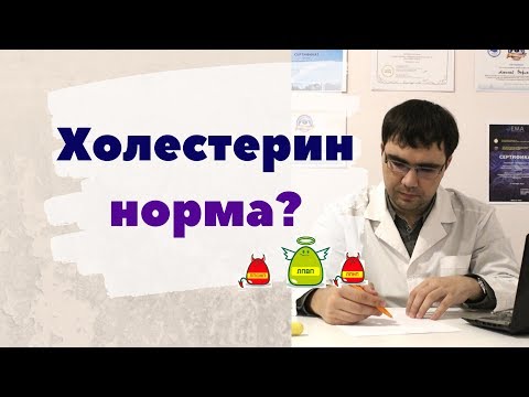 Видео: Какова норма холестерина? А также о "плохом" и "хорошем" холестерине, липидограмме и других анализах