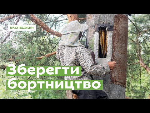 Видео: Зберегти бортництво • Ukraïner