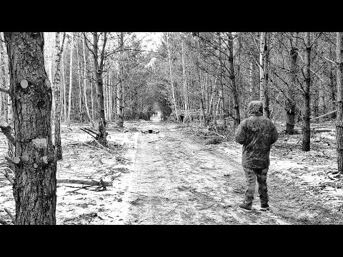 Видео: Дроновое ралли