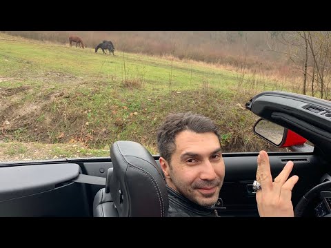 Видео: Френсис Бэкон о юности и старости