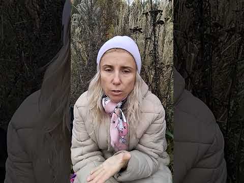 Видео: щедрый мужчина Зачем быть щедрым и что такое закон притяжения в благотворительности