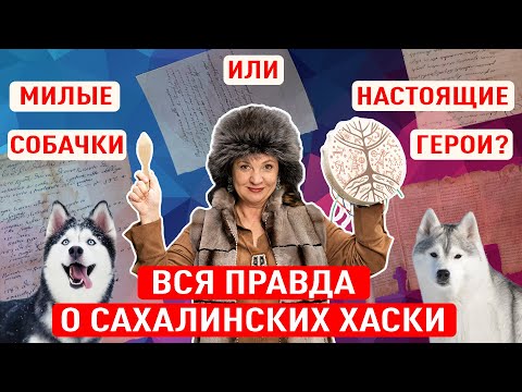 Видео: САМАЯ ПОЛЕЗНАЯ ПОРОДА СОБАК: почему на Сахалине их так ценят?