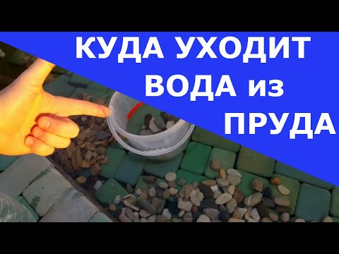 Видео: Куда уходит вода из пруда или бассейна//Простой метод определения