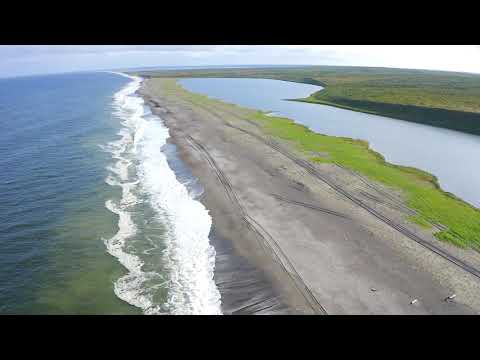 Видео: ОХА 2019 Тропто +