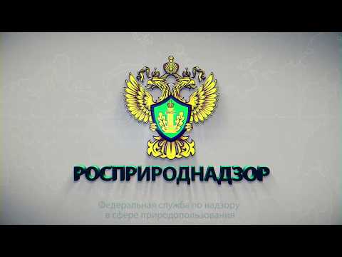 Видео: Росприроднадзор