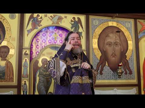 Видео: «НА ЧЕТВЕРТОЙ СЕДМИЦЕ ВСЕ – МОНАХИ»