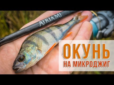 Видео: Окунь на микроджиг