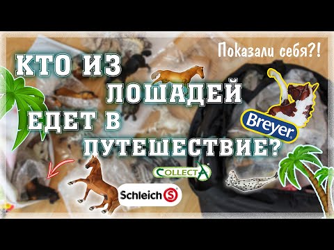 Видео: #ДЕРБИВЛОГ 1 часть**Запаковка** Каких шляйх, брейер, коллекта мы берем с собой на море? Знакомство