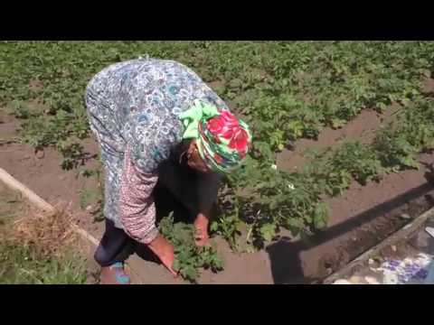 Видео: Труженица от Бога Раиса Дмитриевна.