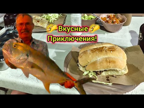 Видео: Уличная Еда и Рыбалка в Мексике. Ловим Крупную Рыбу с Берега!