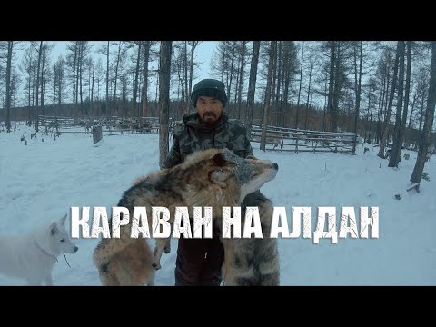 Видео: КАРАВАН НА АЛДАН | ЖИЗНЬ В ТАЙГЕ