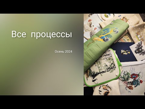 Видео: текущие процессы. осень 2024 год. вышивка крестиком.