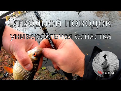 Видео: Отводной поводок - универсальная оснастка