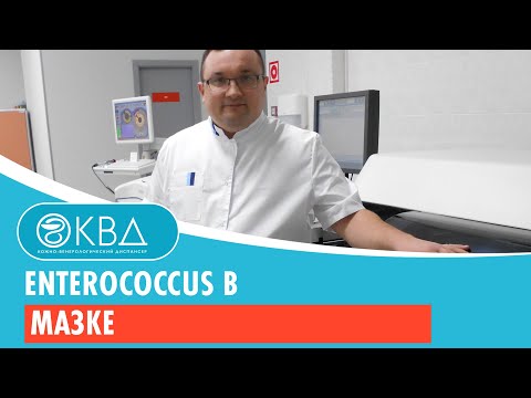 Видео: 157  Enterococcus в мазке