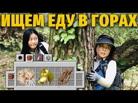 Видео: КАК КОРЕЙЦЫ ХОДЯТ ЗА ГРИБАМИ | Моя Корея