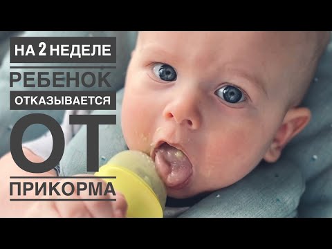 Видео: ПЕРВЫЙ ПРИКОРМ РЕБЕНКА | НЕДЕЛЯ #2 | МОЛОЧНАЯ ГРЕЧНЕВАЯ КАША | РЕБЕНОК ОТКАЗАЛСЯ ОТ ПРИКОРМА