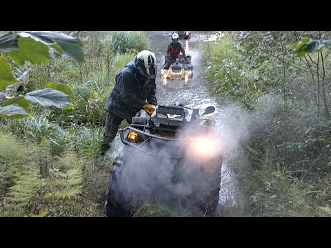 Видео: Весёлые броды Ядрово