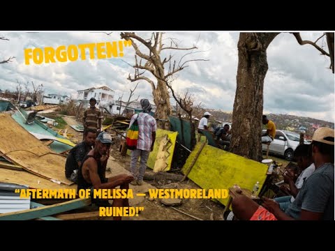 Видео: «Уэстморленд умоляет о помощи…» Люди спят под развалинами.