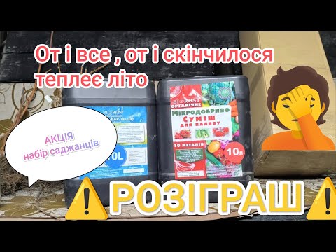 Видео: 🍇⚠️РОЗІГРАШ💰⚠️ Посилка від Ткаченка🤫 Про Биорост, фиаско чи непорозуміння? 🤔
