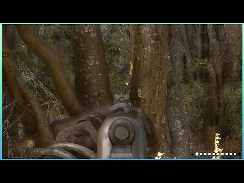 Видео: [Hunt Showdown 1896] Вижу | 보여