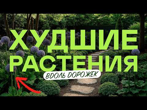 Видео: Как Сделать Красивые Клумбы Вдоль Дорожек Без Ошибок
