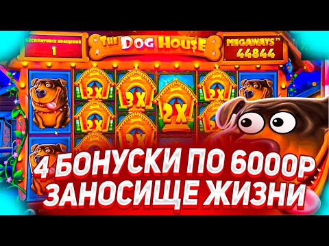 Видео: 4 БОНУСКИ ПО 6000Р И УЛЬТРА ЗАНОСЫ В THE DOG HOUSE MEGAWAYS! ЗАНОС / ЗАНОСЫ НЕДЕЛИ