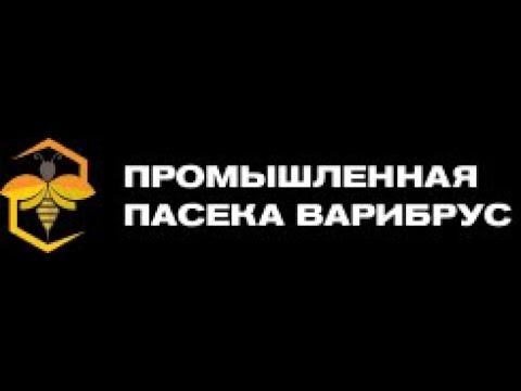 Видео: Промышленная пасека 1200 пчелосемей