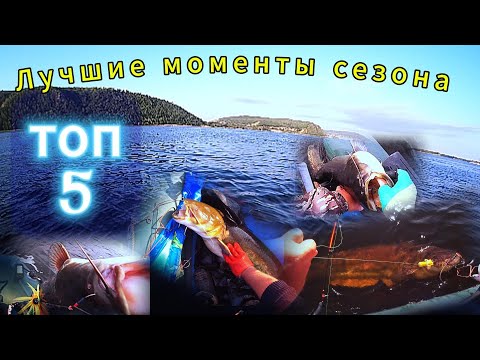 Видео: Рыбалка на сома с квоком. ТОП 5 ЛУЧШИЕ МОМЕНТЫ СЕЗОНА 2024. 🏆💥👍
