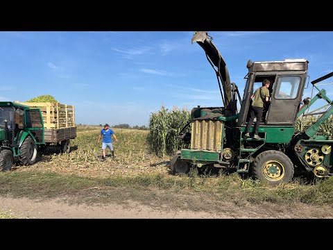 Видео: Частина 1. Масова заготівля силосу! Рівненщина!
