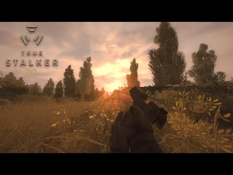 Видео: Ну ТИПА финал мода | True STALKER | #20