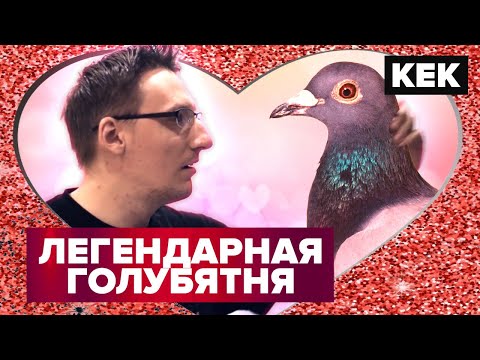 Видео: HATOFUL BOYFRIEND / ЛУЧШИЕ МОМЕНТЫ
